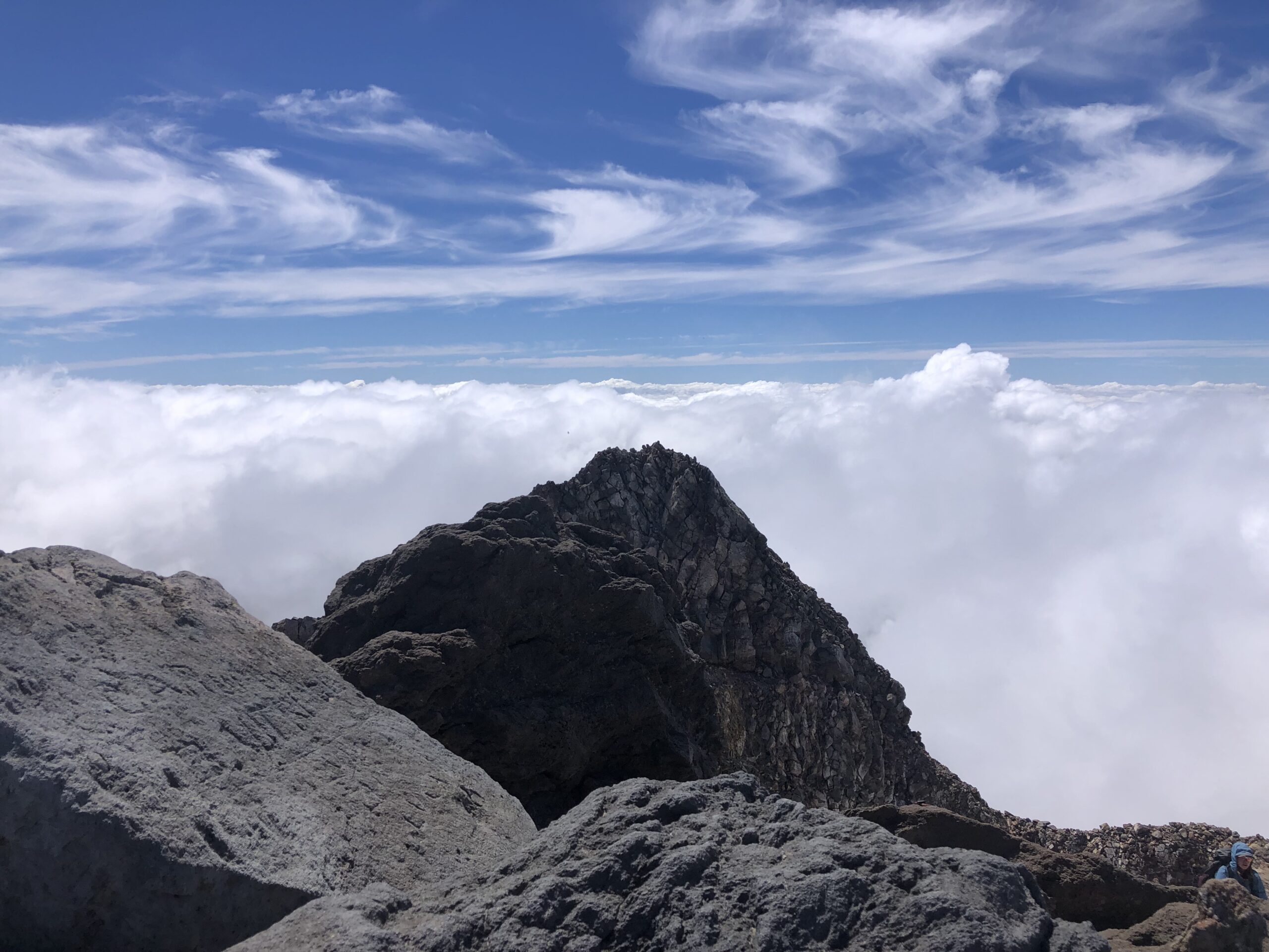 タラナキ山頂